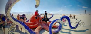 Playa Octopus